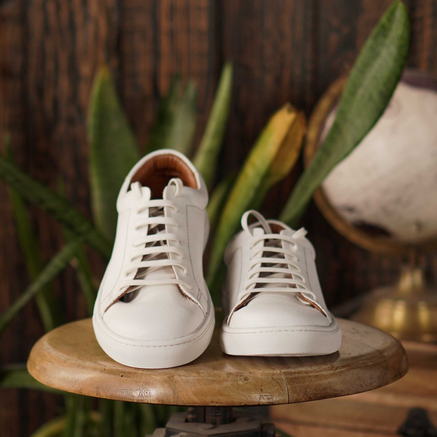 Manhattan Low Top Sneakers (Pearl White)