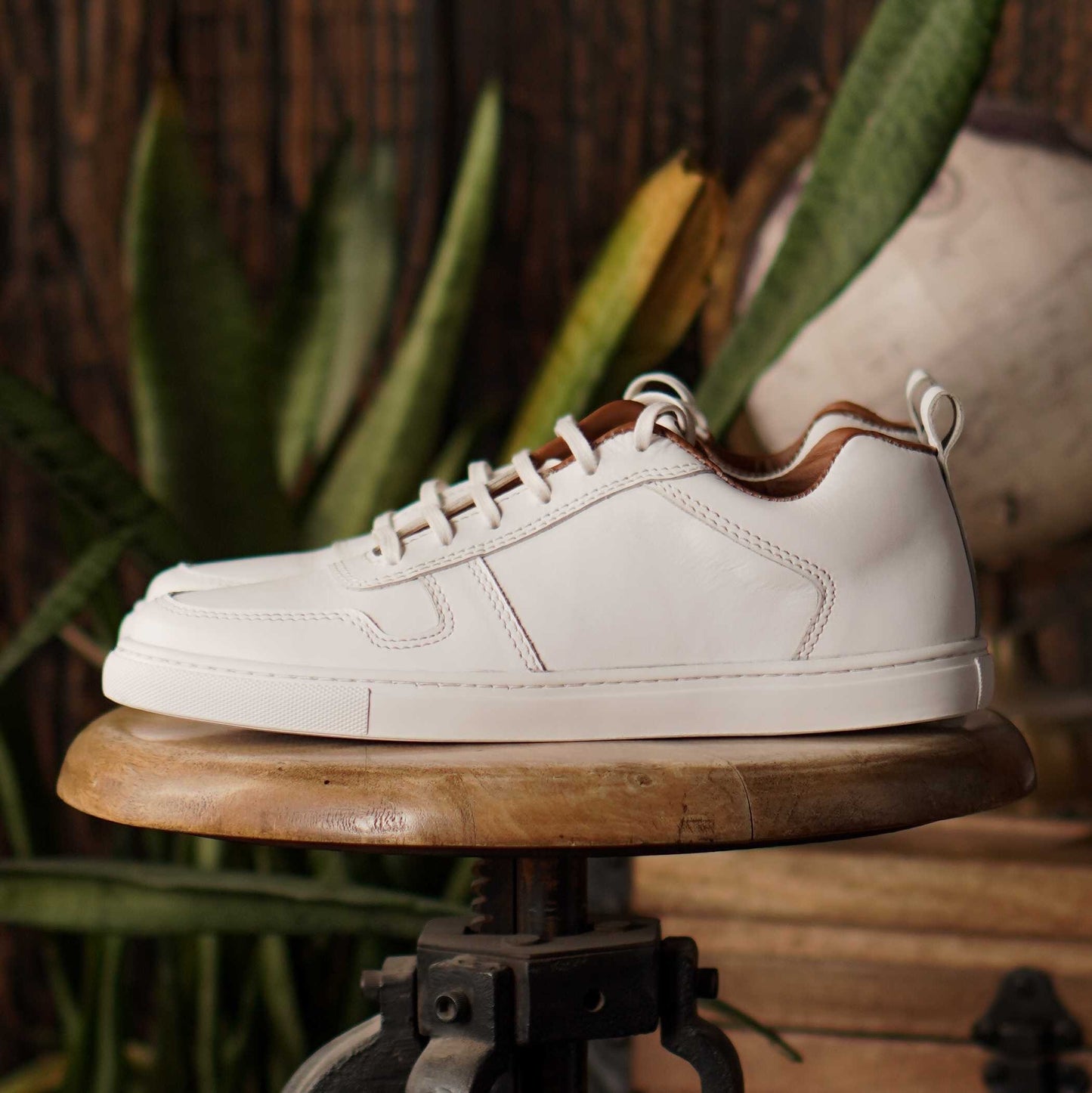 Brooklyn Low Top Sneakers (Pearl White)