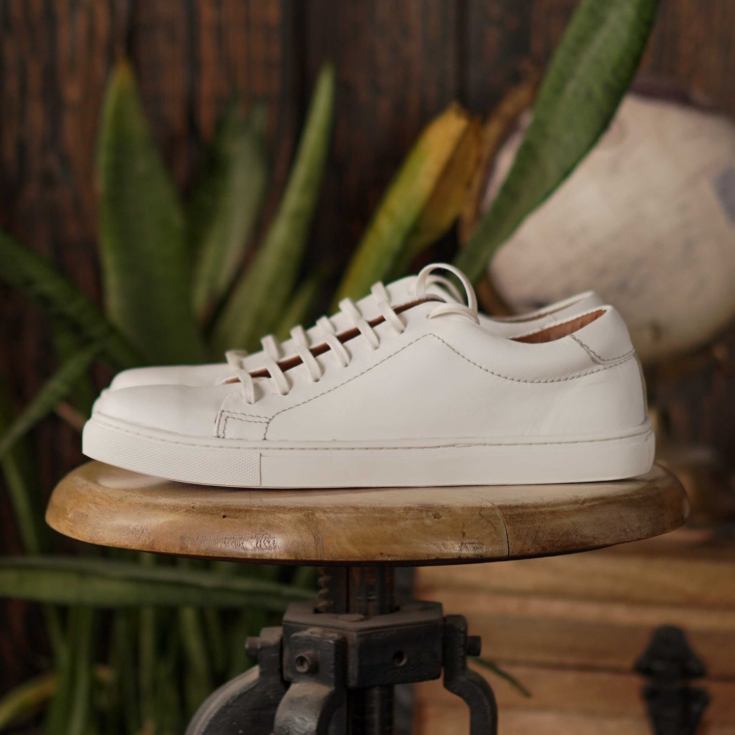 Manhattan Low Top Sneakers (Pearl White)