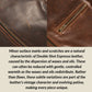 Field Jacket (Double Shot Espresso)